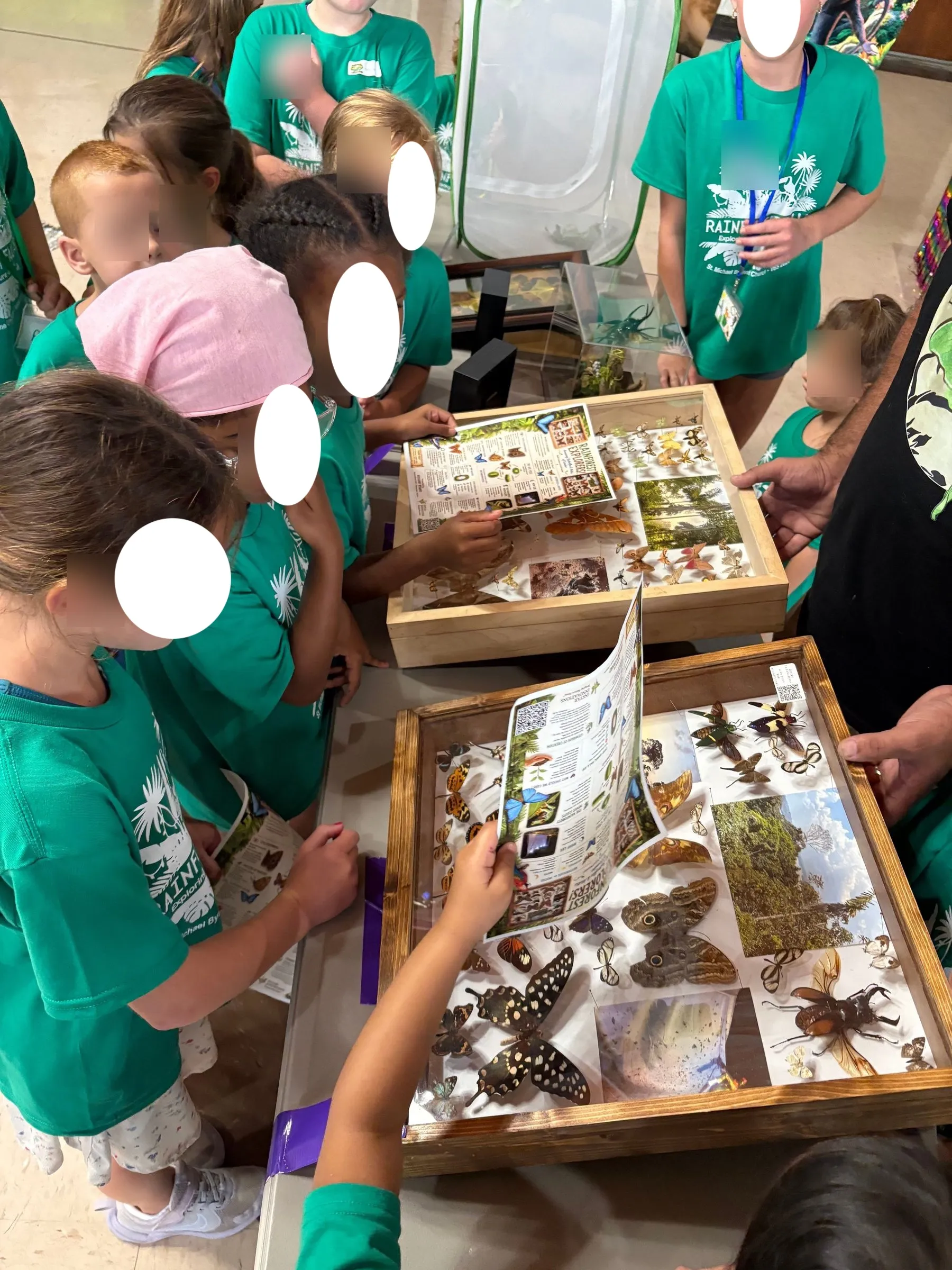 Children leaning in to examine a display case of butterflies and insects