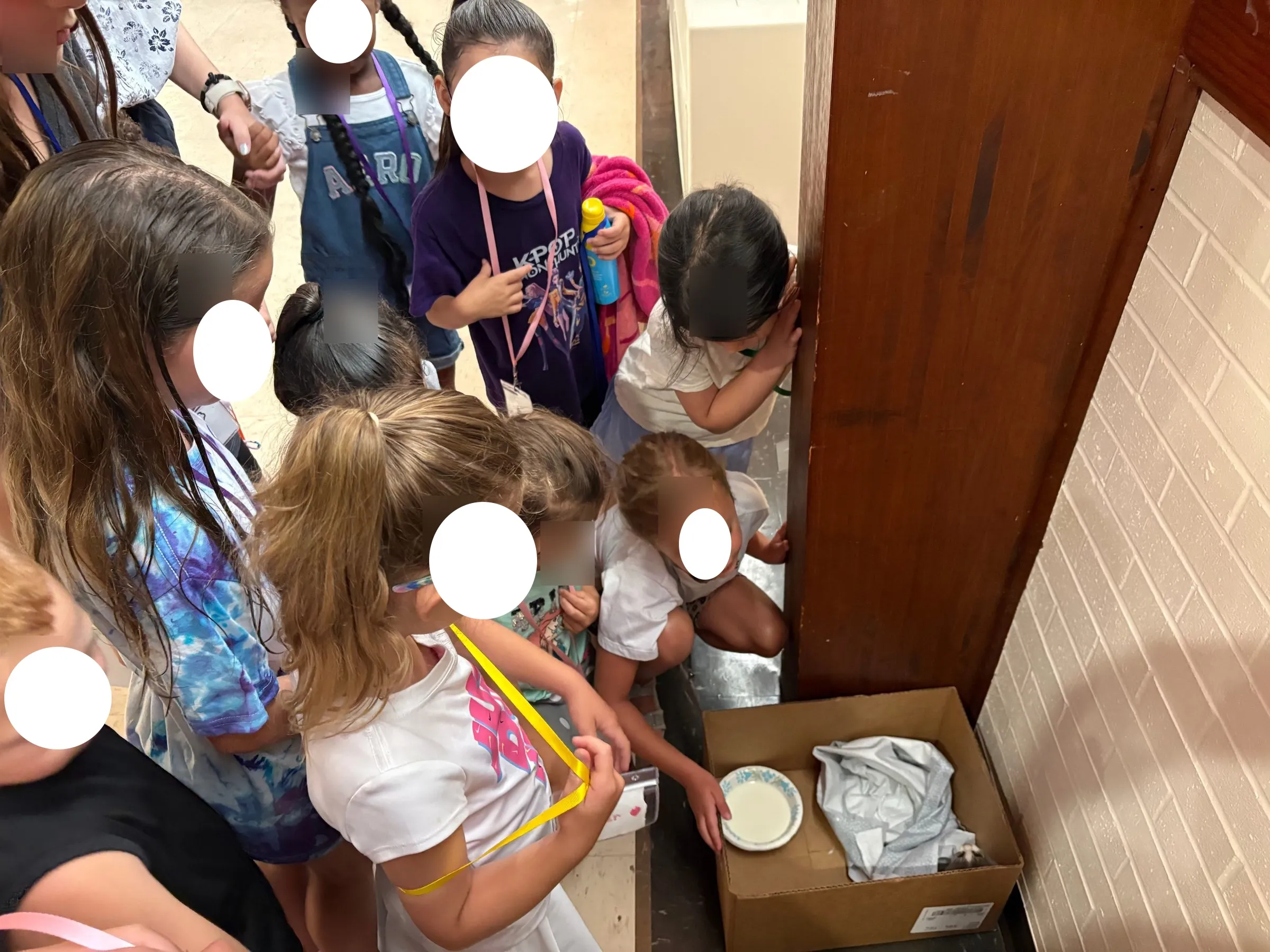 Children gathered around a box holding a found kitten